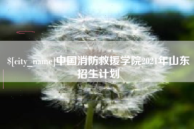 台湾中国消防救援学院2021年山东招生计划