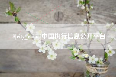 台湾中国执行信息公开平台
