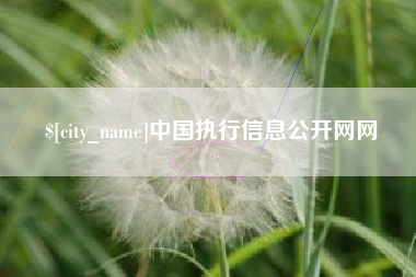 台湾中国执行信息公开网网
