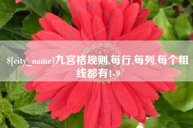 台湾九宫格规则,每行,每列,每个粗线都有1-9