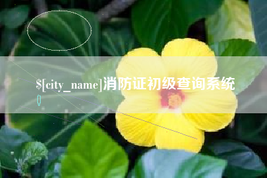 台湾消防证初级查询系统
