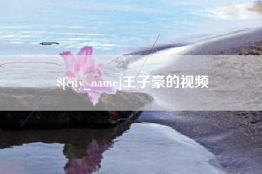 台湾王子豪的视频