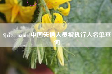 台湾中国失信人员被执行人名单查询