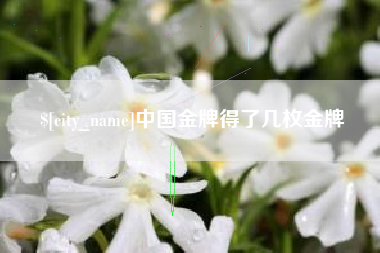 台湾中国金牌得了几枚金牌