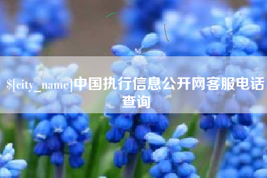 台湾中国执行信息公开网客服电话查询