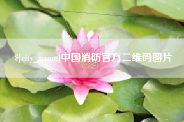 台湾中国消防官方二维码图片