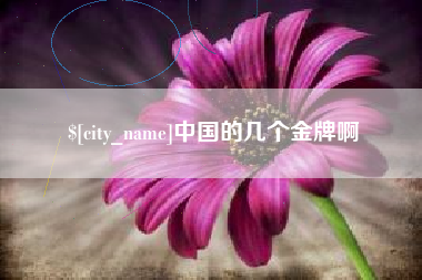 台湾中国的几个金牌啊