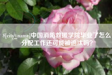 台湾中国消防救援学院毕业了怎么分配工作还可能被逃汰吗？