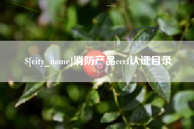 台湾消防产品cccf认证目录