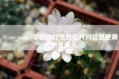 台湾中国执行信息公开网信息更新时间是多久