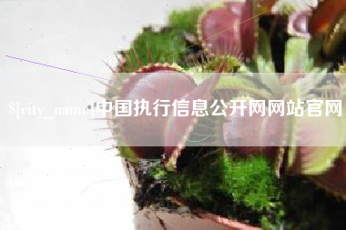 台湾中国执行信息公开网网站官网