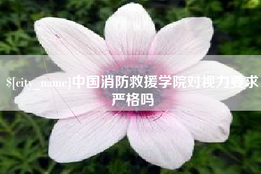 台湾中国消防救援学院对视力要求严格吗
