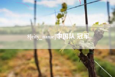 台湾中国队 冠军