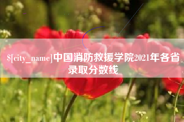 台湾中国消防救援学院2021年各省录取分数线