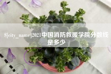 台湾2021中国消防救援学院分数线是多少