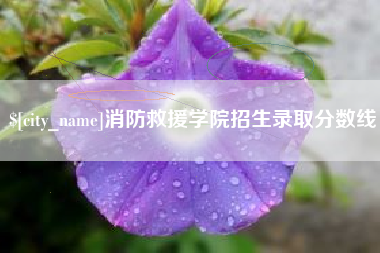 台湾消防救援学院招生录取分数线
