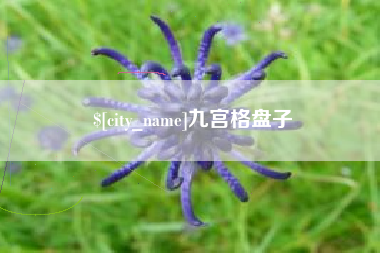 台湾九宫格盘子