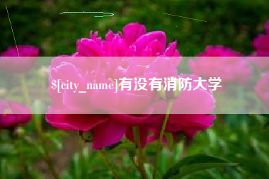 台湾有没有消防大学