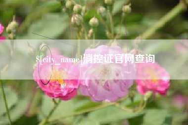 台湾消控证官网查询