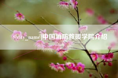 台湾中国消防救援学院介绍