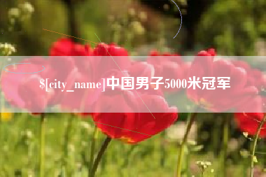 台湾中国男子5000米冠军