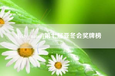 台湾第七届亚冬会奖牌榜