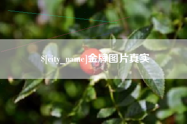 台湾金牌图片真实