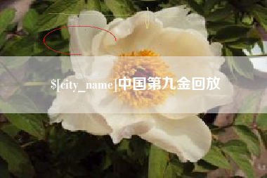 台湾中国第九金回放
