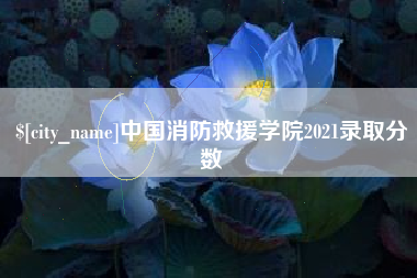 台湾中国消防救援学院2021录取分数