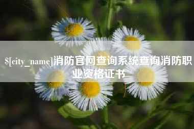 台湾消防官网查询系统查询消防职业资格证书