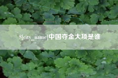 台湾中国夺金大项是谁