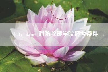 台湾消防救援学院报考条件