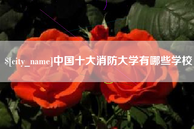 台湾中国十大消防大学有哪些学校