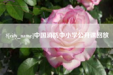 台湾中国消防中小学公开课回放
