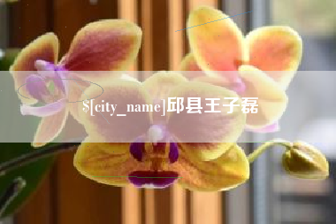 台湾邱县王子磊
