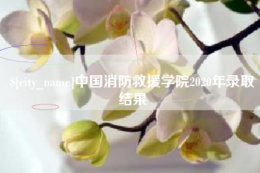 台湾中国消防救援学院2020年录取结果