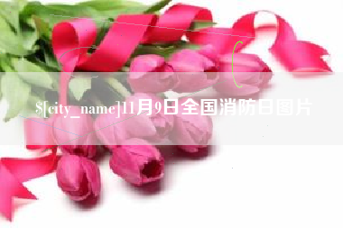 台湾11月9日全国消防日图片
