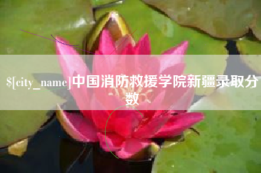 台湾中国消防救援学院新疆录取分数