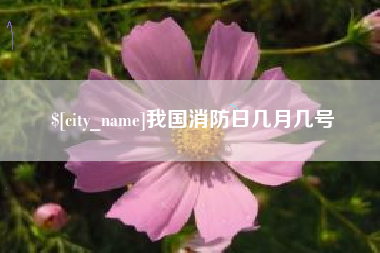 台湾我国消防日几月几号