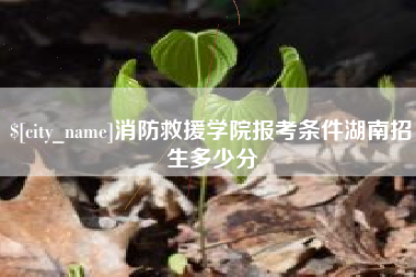 台湾消防救援学院报考条件湖南招生多少分