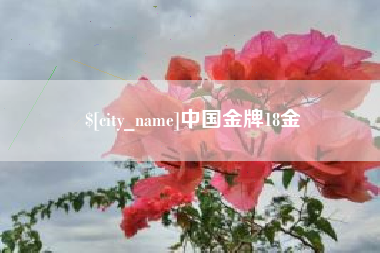 台湾中国金牌18金