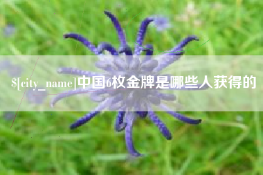 台湾中国6枚金牌是哪些人获得的