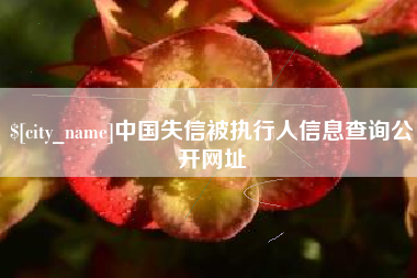 台湾中国失信被执行人信息查询公开网址