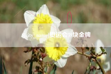 台湾奥运会39块金牌