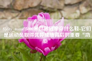 台湾5000米世界冠军穿什么鞋-它们是运动员取得优异成绩背后的重要“功臣”