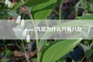 台湾九宫为什么只有八卦