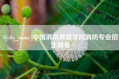 台湾中国消防救援学院消防专业招生简章