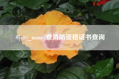 台湾查消防资格证书查询