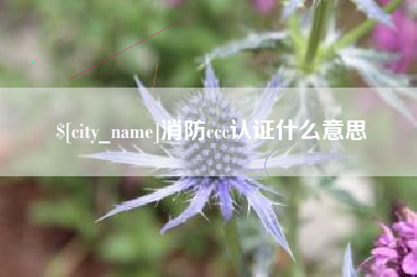 台湾消防ccc认证什么意思