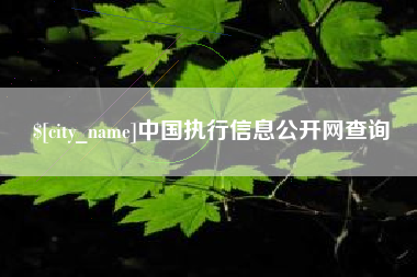 台湾中国执行信息公开网查询